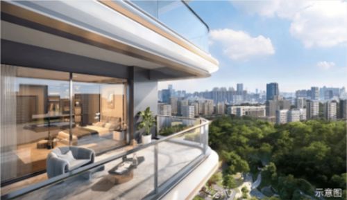 龙腾铂悦学府 领秀未来，珍稀学府特价房源震撼发售